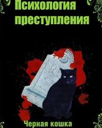 Психология преступления.Чёрная кошка в тёмной комнате (2021) смотреть онлайн